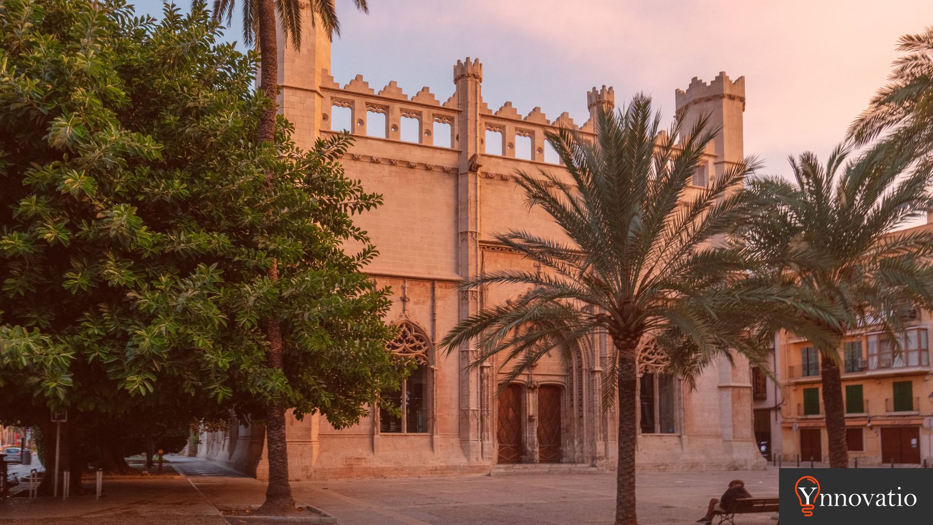 Agencia SEO en las Islas Baleares. Vista desde La lonja de Palma de Mallorca