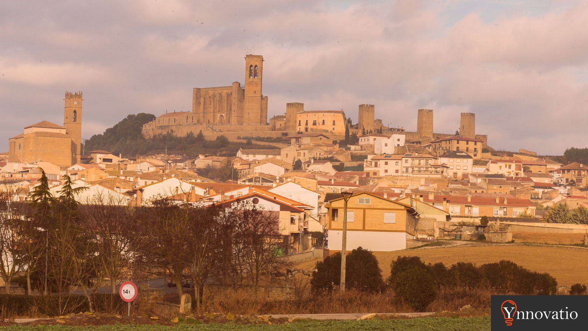 Agencia SEO en Navarra. Vista desde Artajona